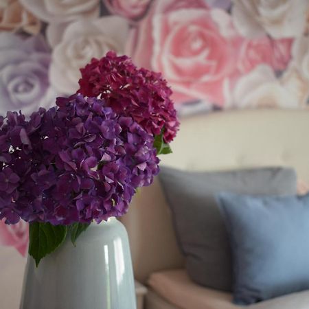 Apartment Rose Sasbachwalden Esterno foto